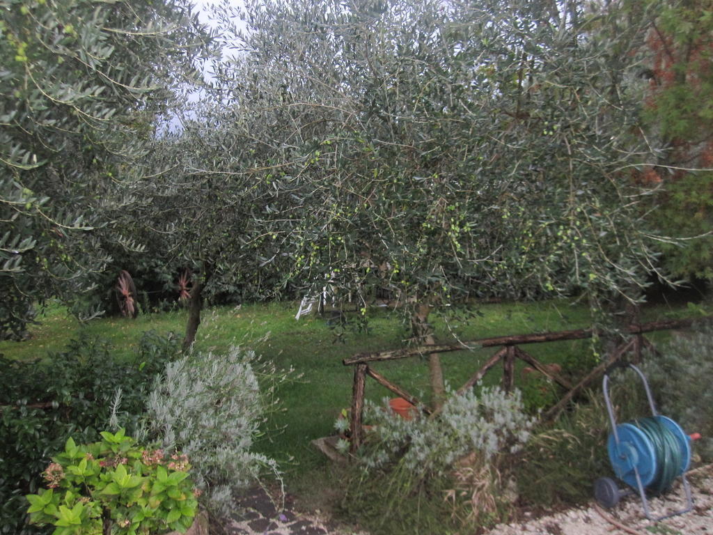 Santa Croce Villa Fossato di Vico Kültér fotó