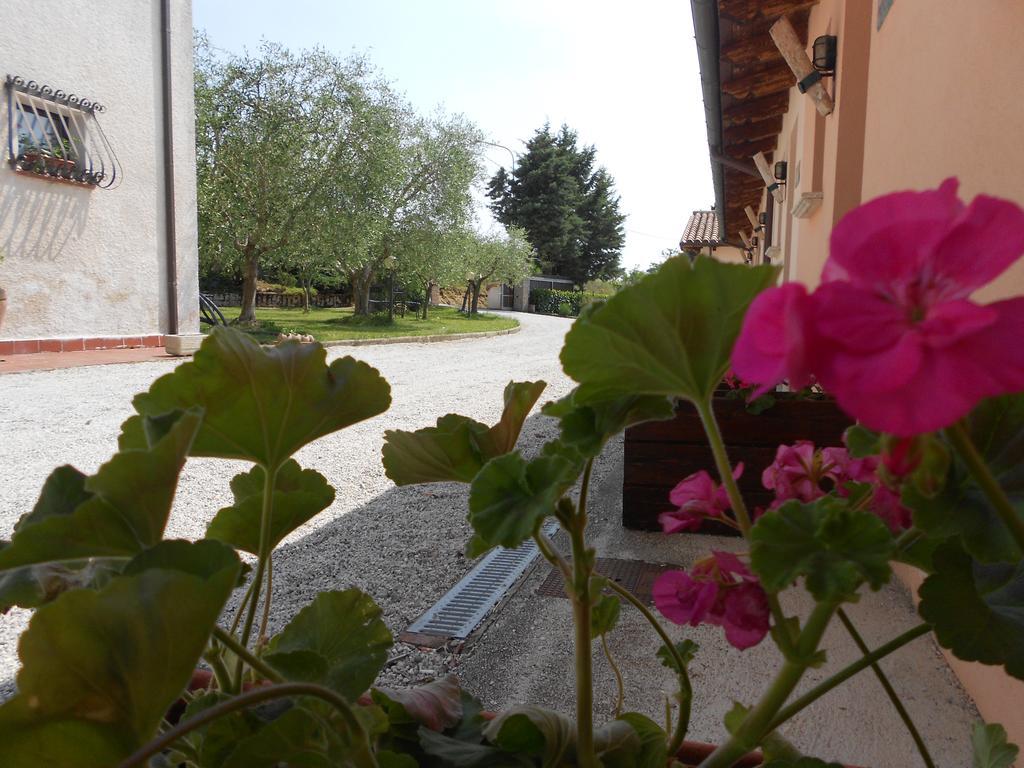 Santa Croce Villa Fossato di Vico Kültér fotó